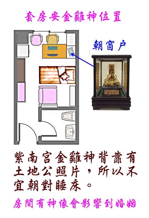 金雞放客廳|金雞擺放高度、方向、禁忌、風水懶人包